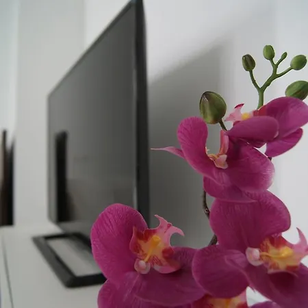 Catedral Suites Apartamento